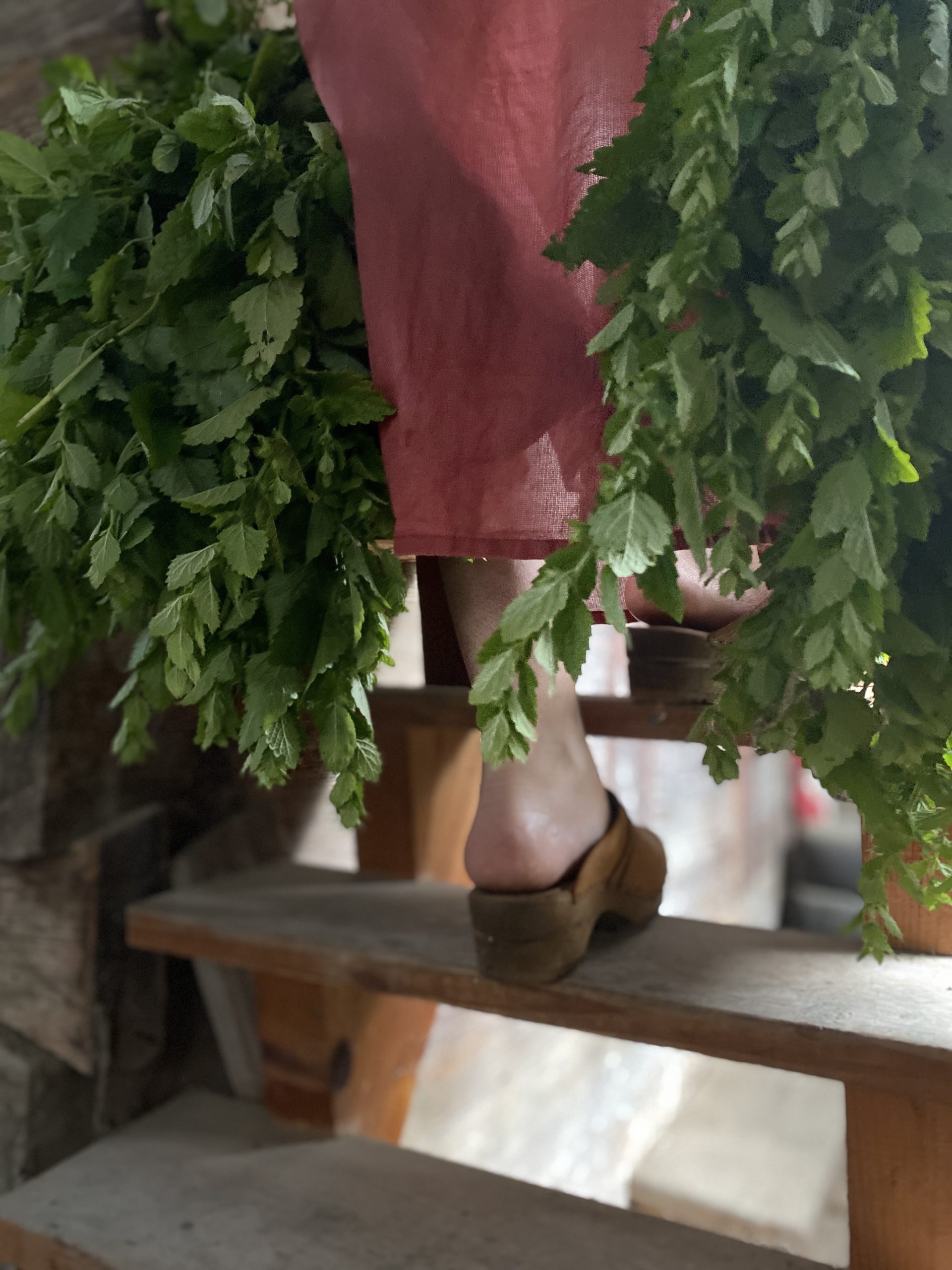 elixalp elixalp.com elixirs spagyriques spagyrie toni ceron spagy-therapie alchimie vegetale