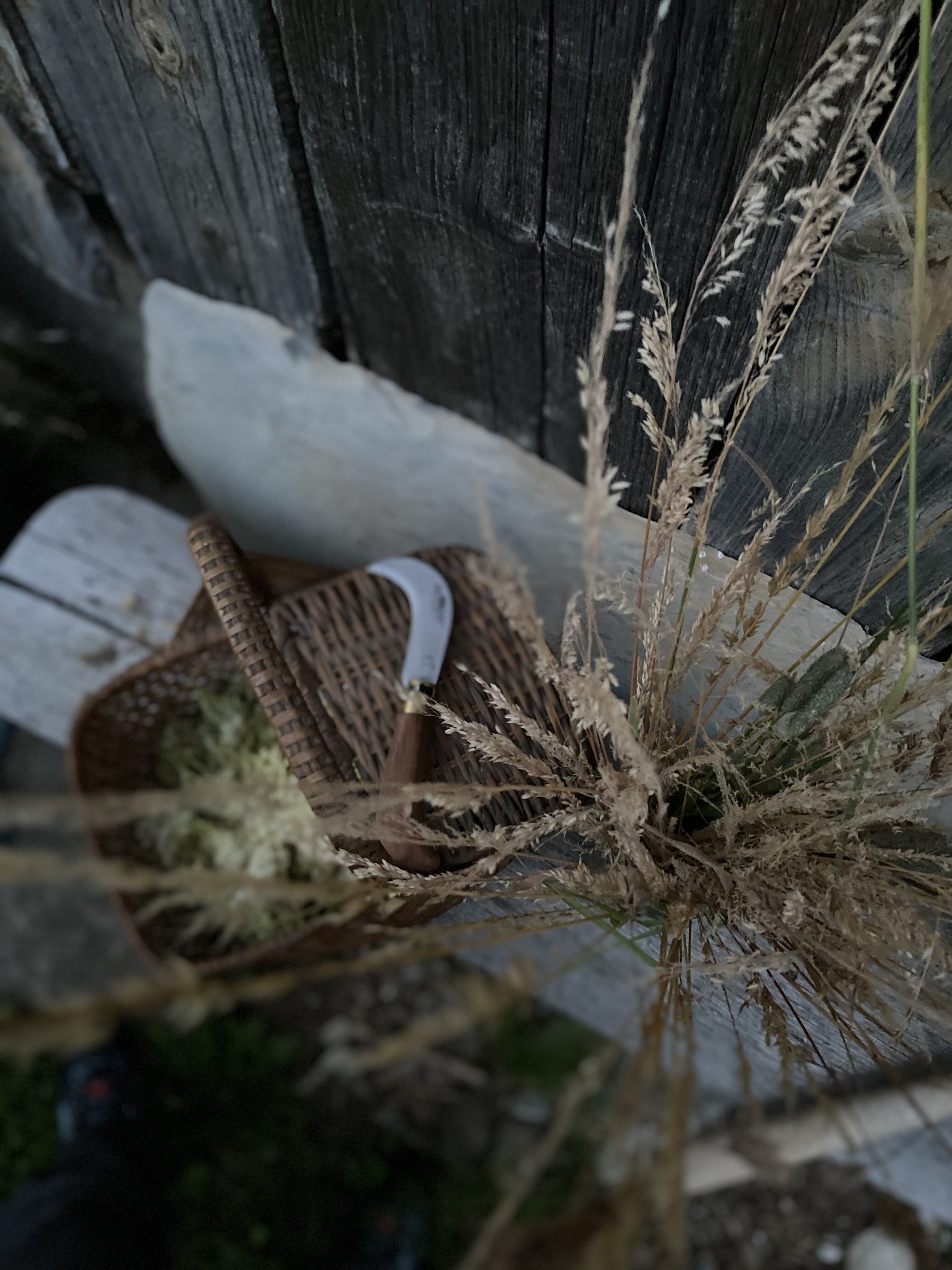 elixalp elixalp.com elixirs spagyriques spagyrie toni ceron spagy-therapie alchimie vegetale