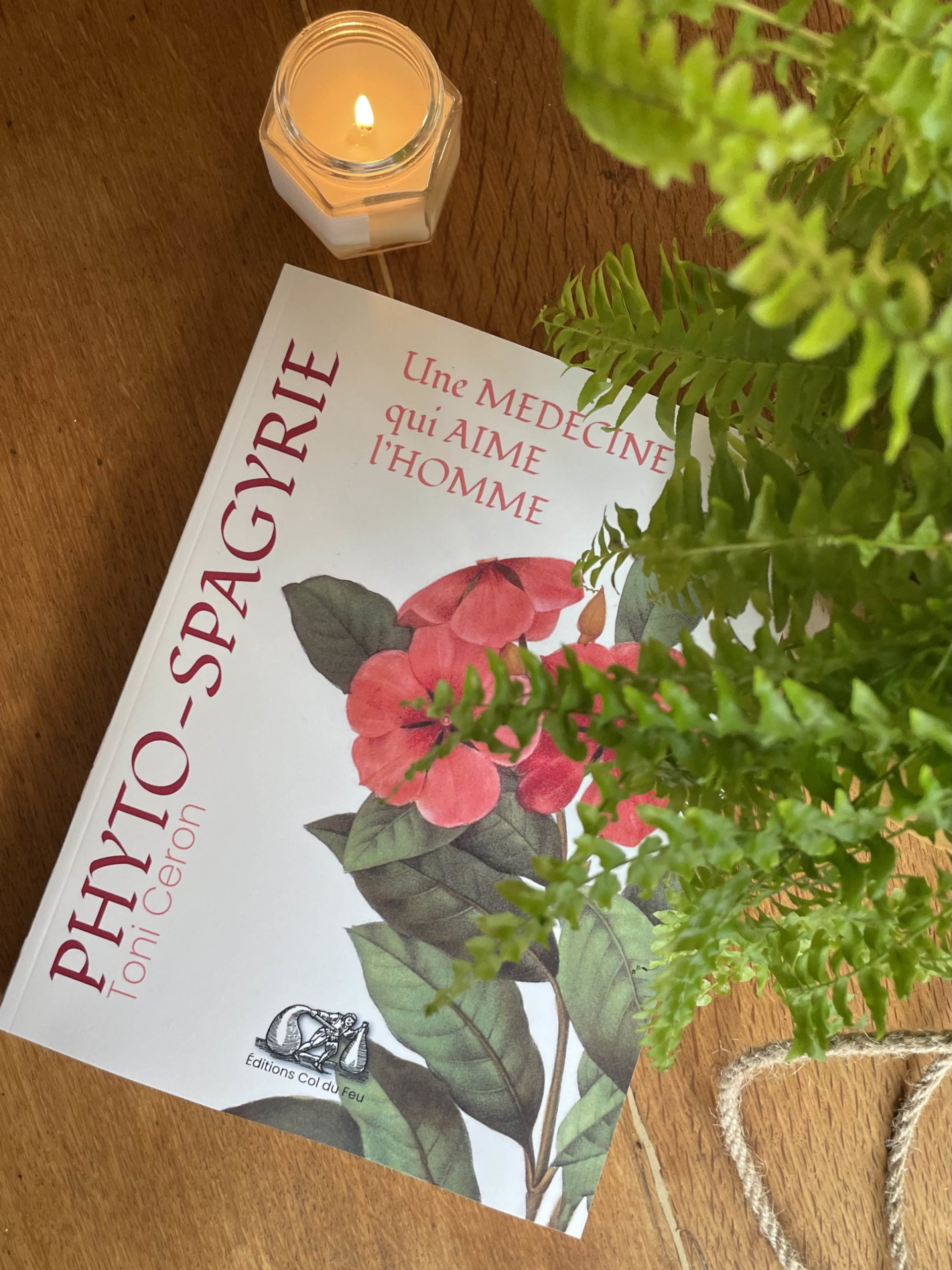 spagyrie spagythérapie